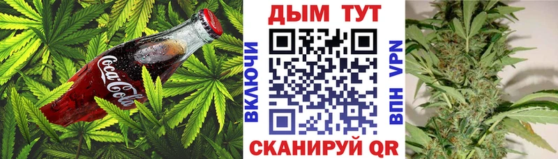 Купить где  Нефтекамск  Canna-Cookies марихуана 